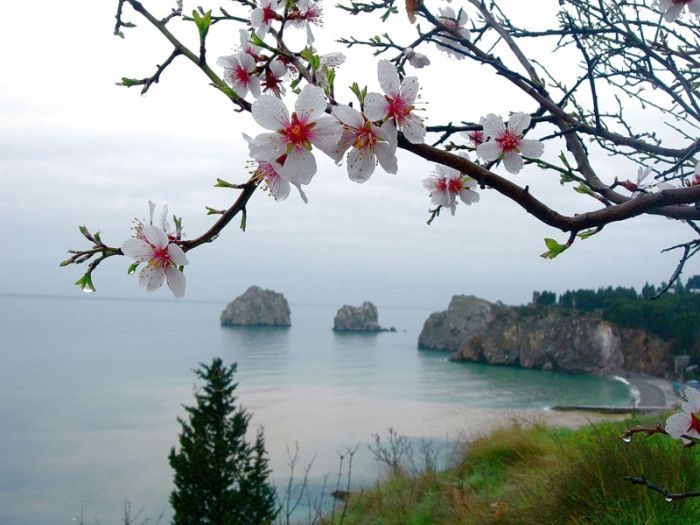 В Крым пришла настоящая весна (прогноз погоды на 8 марта)