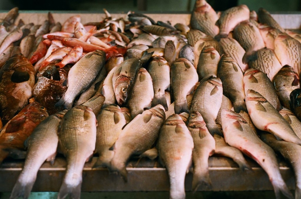 В Севастополе на Графской пристани откроют рыбный рынок