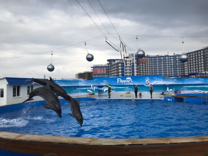 В Севастополе открылся дельфинарий в Парке Победы
