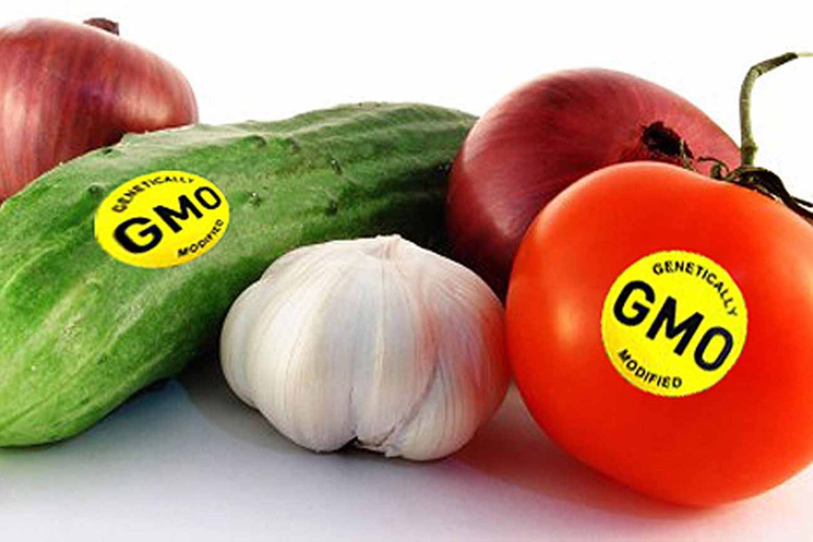Фрагменты ДНК из ГМО-продуктов остаются в клетках человека