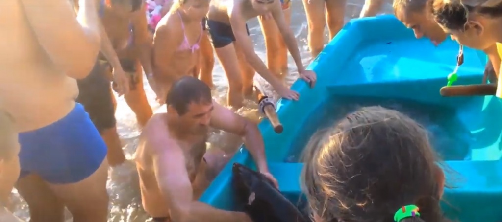 В Севастополе отдыхающие на пляже пытались спасти дельфиненка