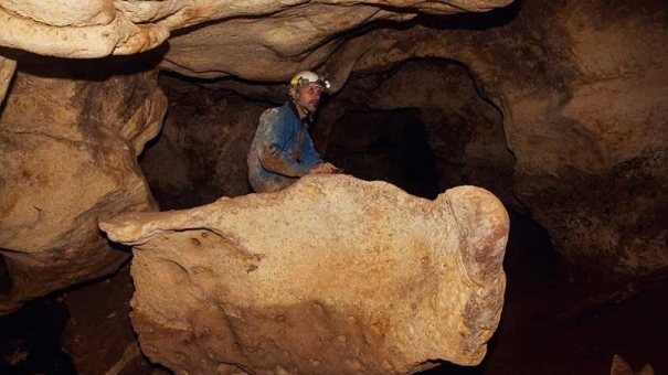 В пещере «Таврида» в Крыму нашли скелет доисторической змеи