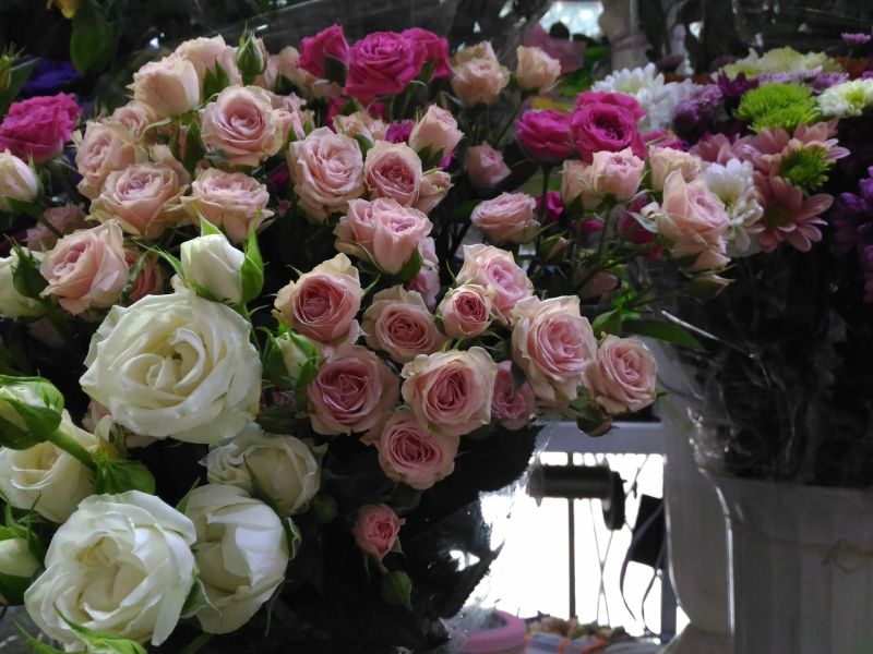 Цена букета: сколько в Севастополе стоят цветы ко Дню учителя