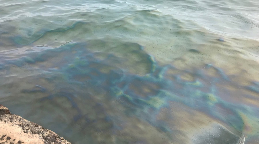 Море у набережной в Керчи покрылось пленкой нефтепродуктов