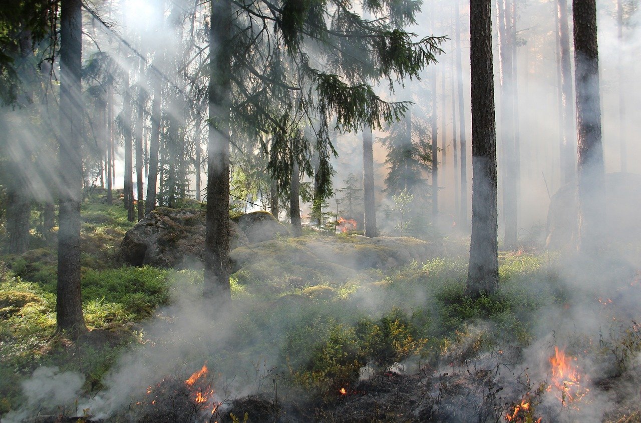 На отдельных территориях Севастополя вводится «оранжевый» уровень пожарной опасности