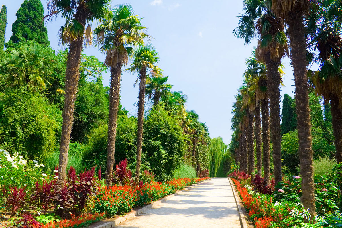 Никитский ботанический сад открылся для посетителей