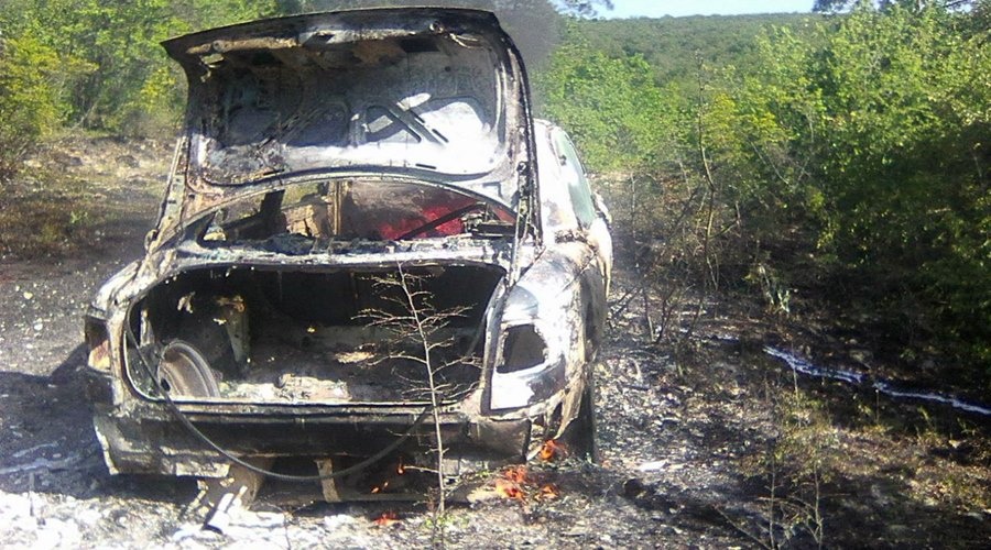 В Крыму из-за пожара в автомобиле загорелся лесной массив