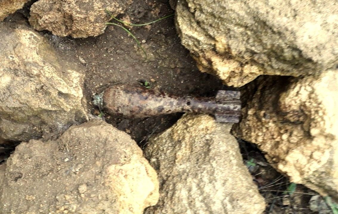Вместо грибов в лесу под Севастополем нашли миномётную мину на боевом взводе