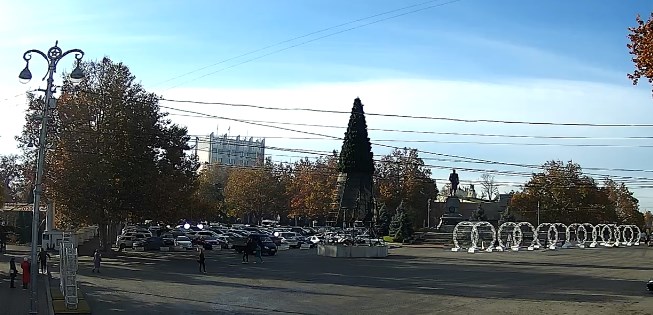 елка Севастополя