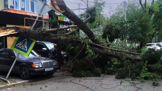 В Крыму град и ураган наносят убытки (фото, видео)