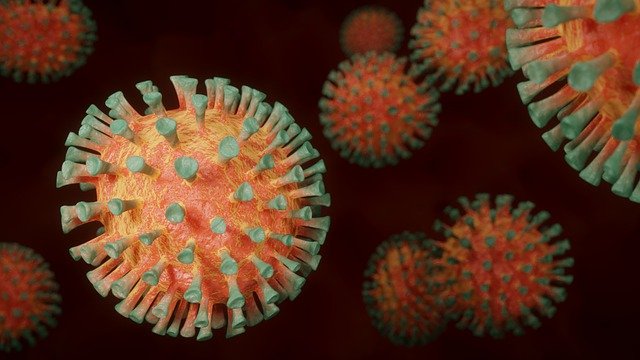 В Индии выявлена новая мутация коронавируса
