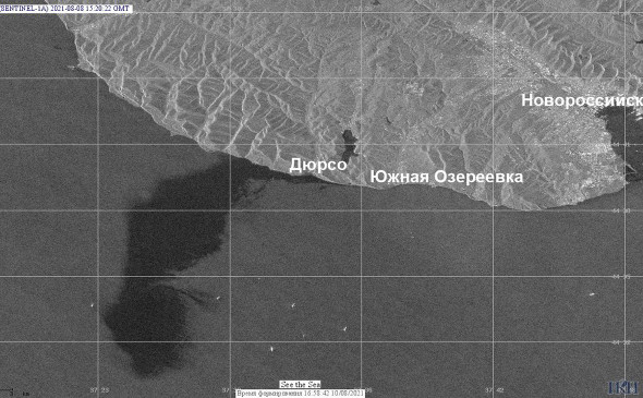 Ученые обеспокоены крупным разливом нефти в Черном море