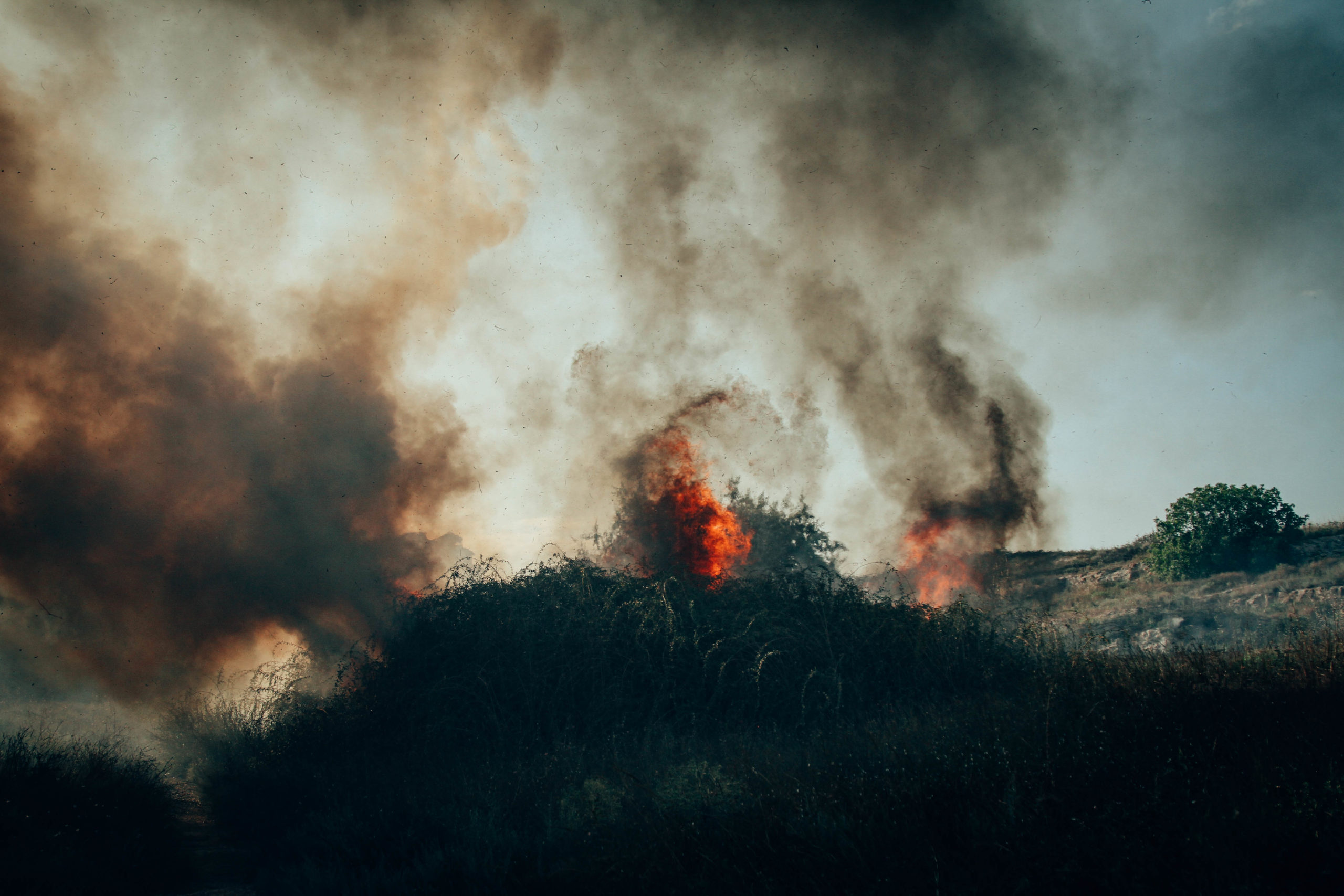В Севастополе сгорели почти 6 га травы и кустарников