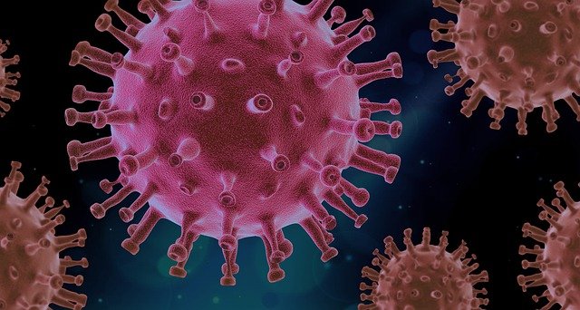 Ученые сообщили о штамме коронавируса «йота» с летальностью до 82%