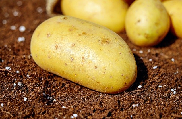 В Минсельхозе Крыма рассказали, подорожает ли картофель