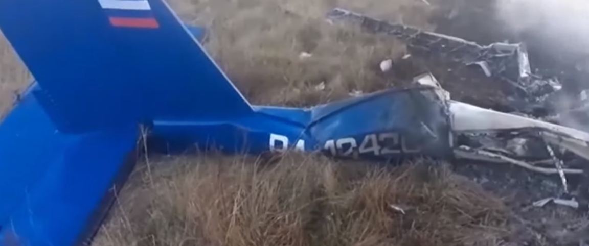 В Подмосковье упал легкомоторный самолет, есть погибшие (видео)