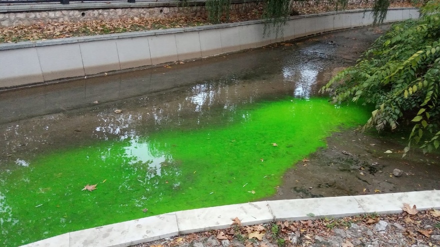 Река Салгир в Симферополе окрасилась в радикально зеленый цвет