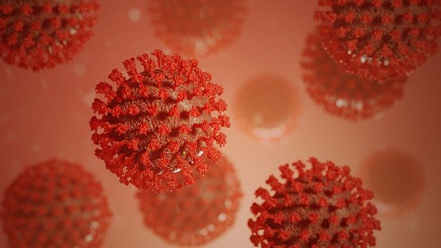 Коронавирус может существенно повлиять на селекцию человечества