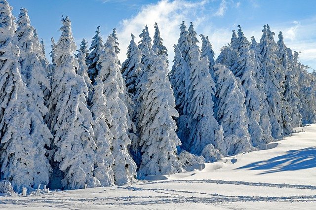 Предстоящая зима в России будет аномально снежной — прогноз от «Фобос»
