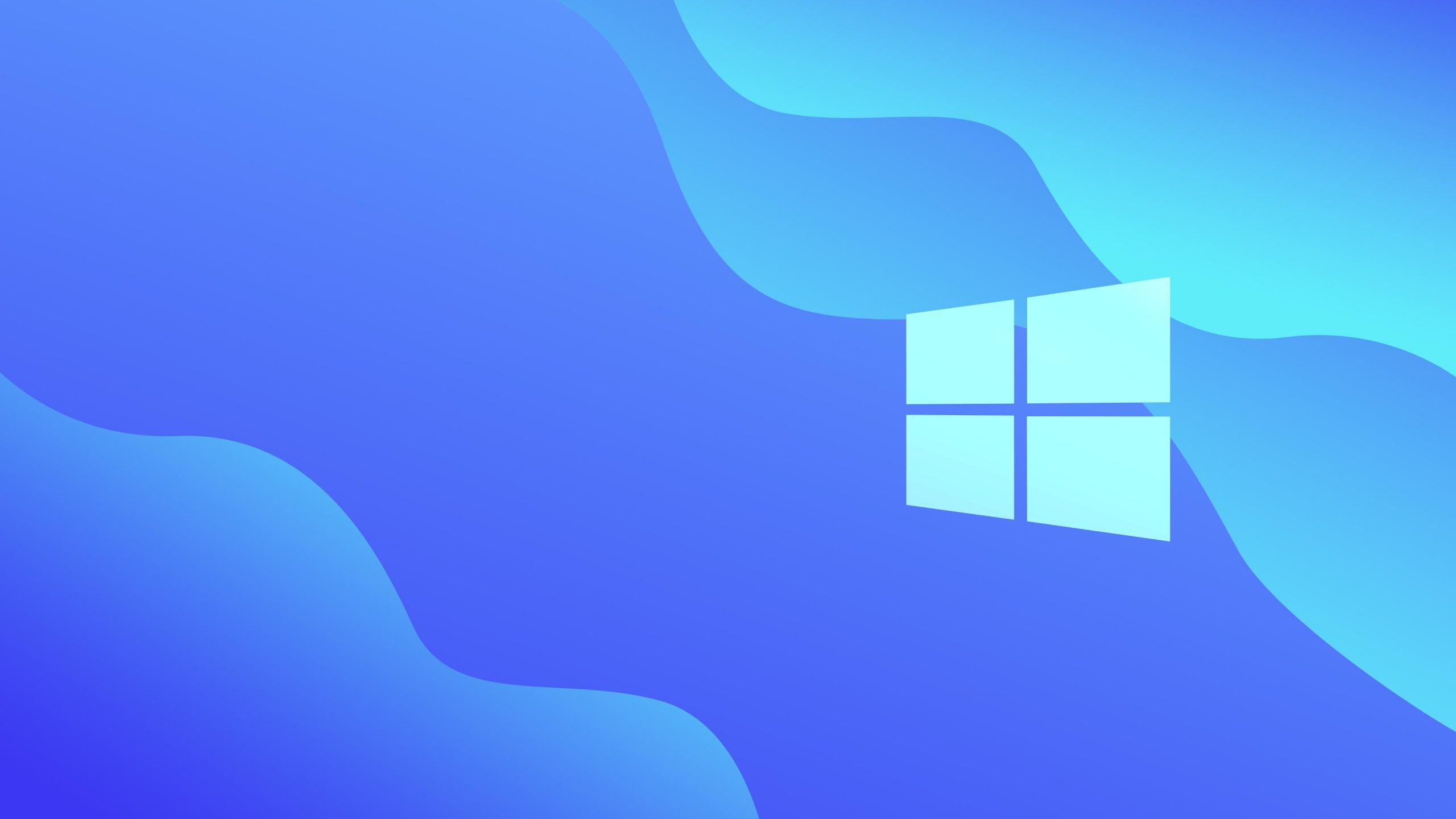 В релизной версии Windows 11 обнаружили интересную ошибку