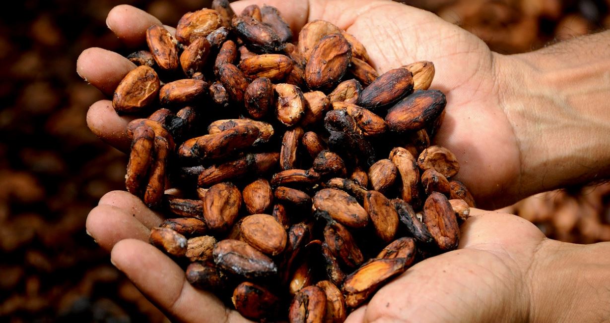 Цены на какао в РФ выросли за год на 59%, на растительное мало — на 34%