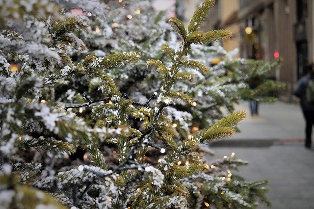 В Севастополе обещают установить 11 новогодних ёлок