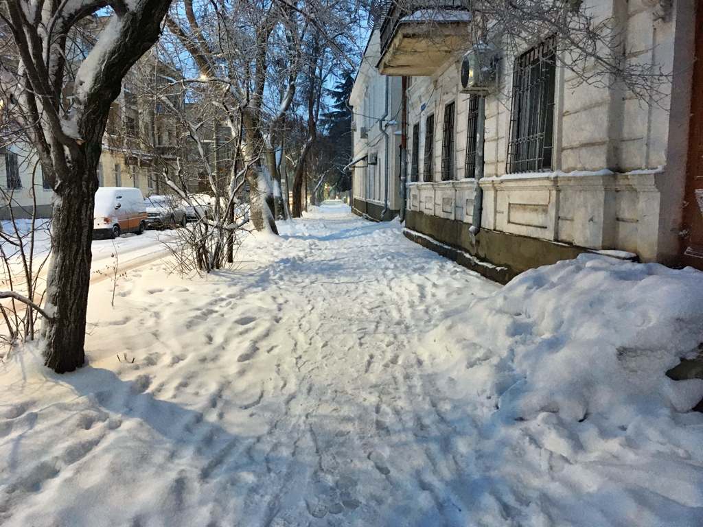 Выпавший снег не обнаружил дворников в Севастополе (ФОТО)