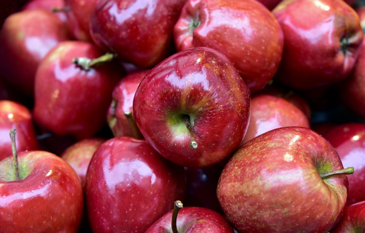 В канун Нового года общественная организация «Мы-Севастопольцы» передала детям полторы тонны яблок (ФОТО)