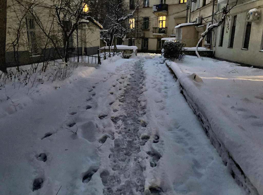 Одиннадцать управляющих компаний не убирают снег в Севастополе