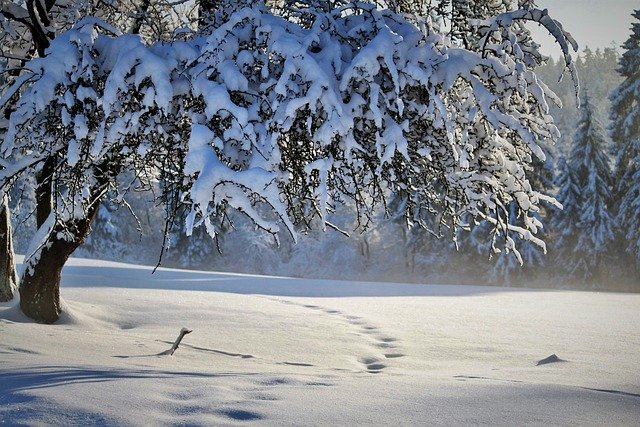 Штормовое предупреждение: в пятницу и субботу в Крыму прогнозируют сильный ветер и снег
