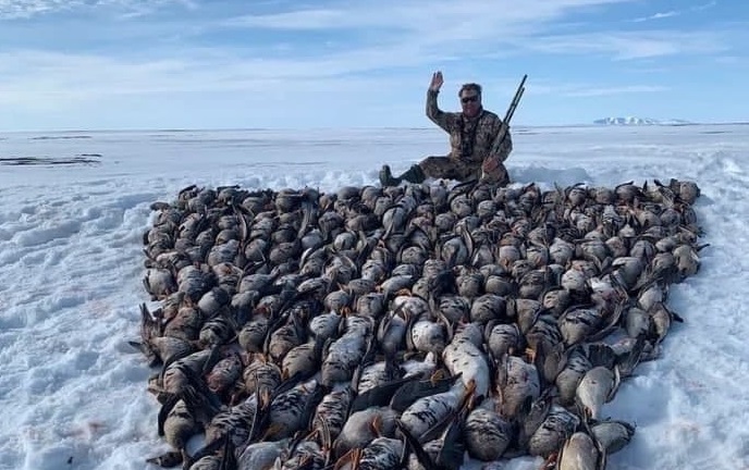 Депутат, выложивший слово «Чукотка» из 180-ти убитых птиц, найден мертвым