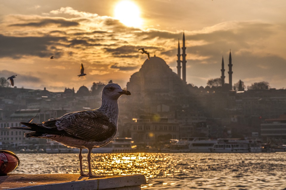 Итог туристического сезона: россияне выбрали Турцию