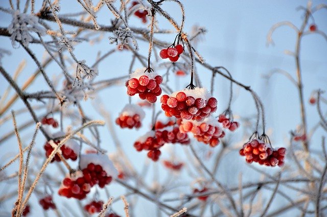 В первый день зимы в Крыму ожидаются сильные дожди, переходящие в снег