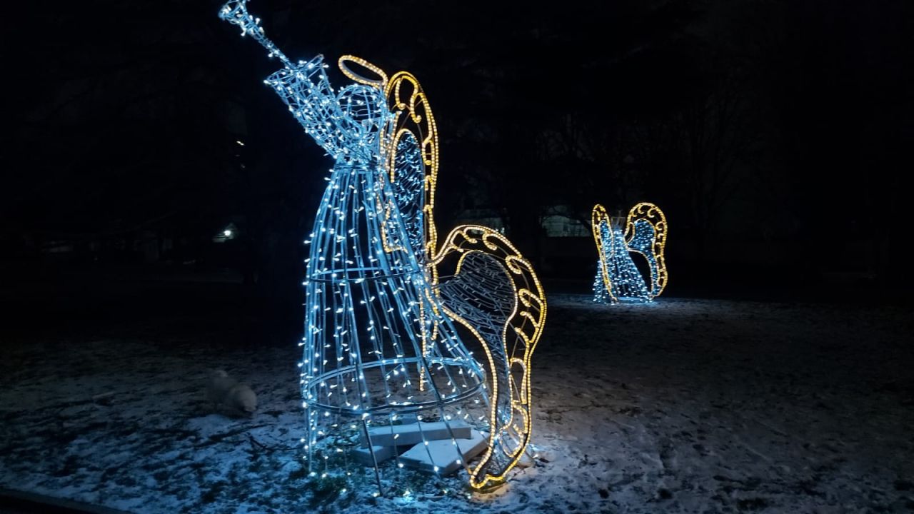 В центре Севастополя неизвестные разгромили новогоднюю иллюминацию