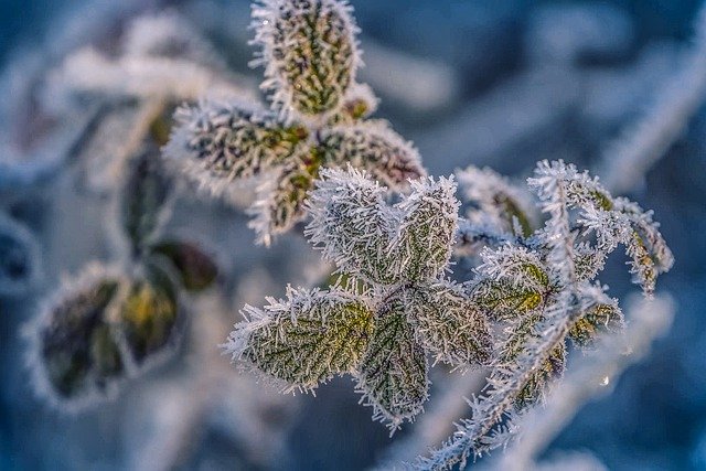 В Крыму ожидается до 14 градусов мороза, в Севастополе – до пяти градусов ниже нуля