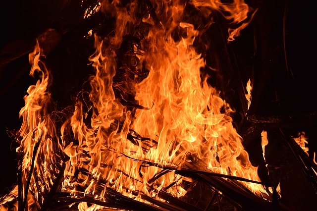 В Севастополе на пожаре в СНТ погиб человек