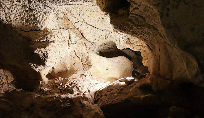 Пещера «Таврида» в Крыму более 1,5 млн лет назад была логовом животных — ученые