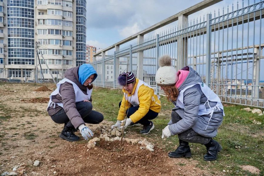 В Севастополе волонтеры посадили саженцы плодовых деревьев