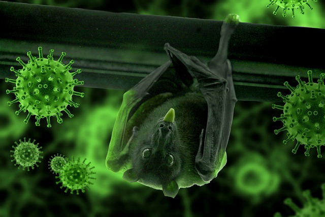 В лабораториях на Украине проводились эксперименты с образцами коронавируса летучих мышей − Минобороны