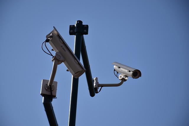 В Севастополе действуют почти 500 камер видеонаблюдения
