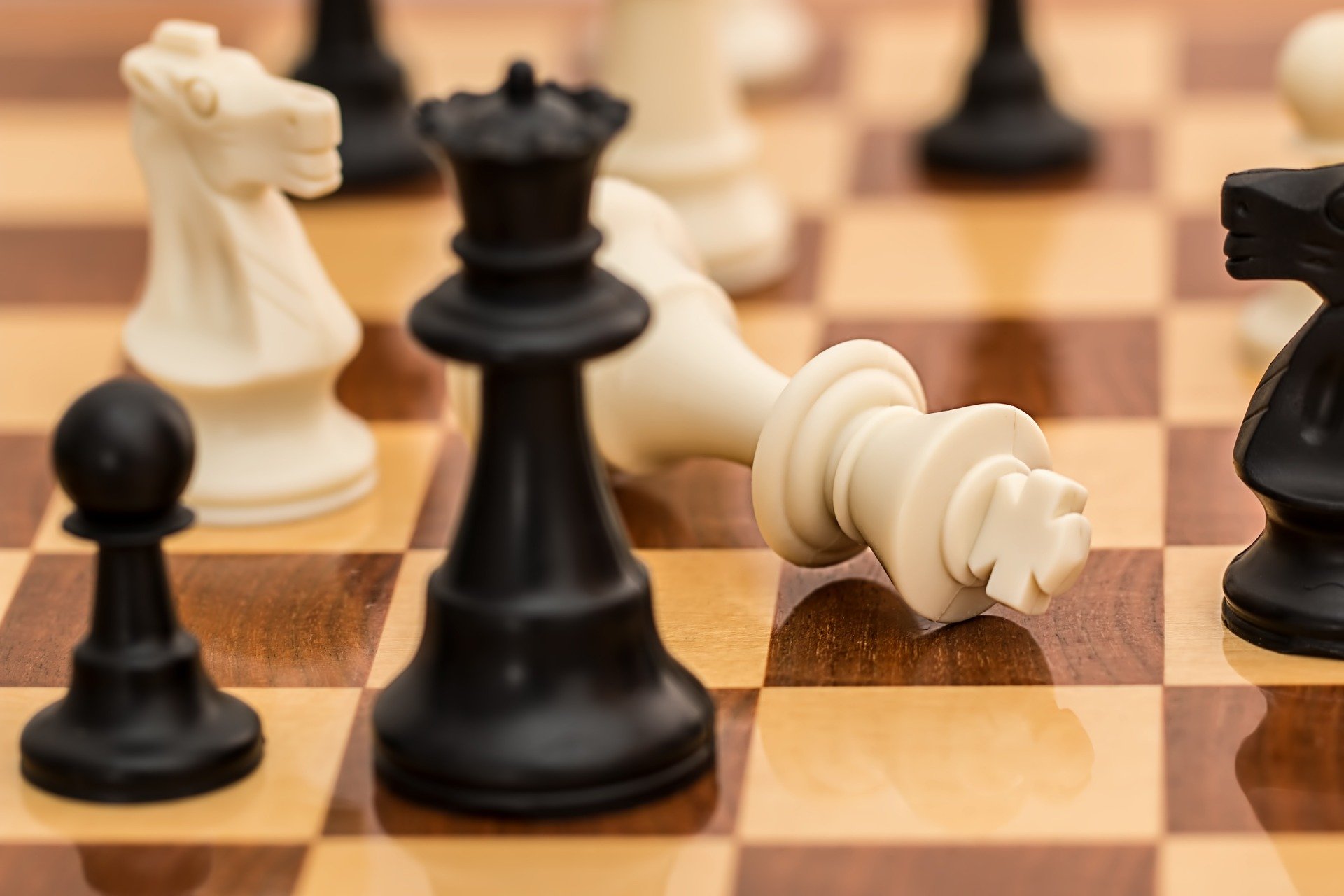 Сборные РФ и Белоруссии по шахматам отстранены от соревнований ФИДЕ