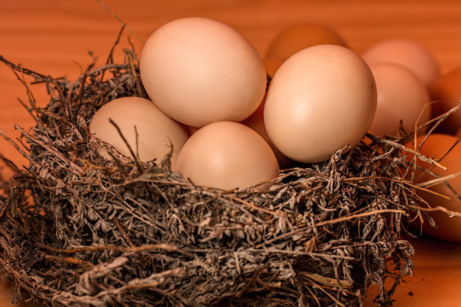 Яйца могут вырасти в рознице на 40%