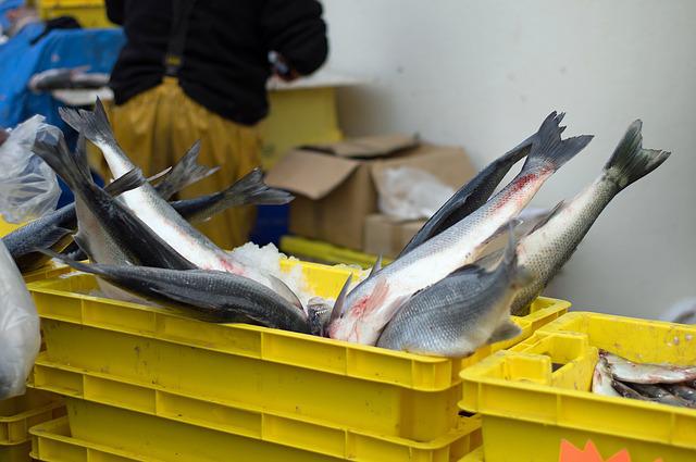 Кабмин частично компенсирует расходы рыболовецким предприятиям, ведущим промысел в Азовском море