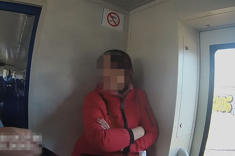 В Крыму задержали женщину, угрожавшую взорвать электропоезд и «перерезать глотку» полицейскому (ВИДЕО)