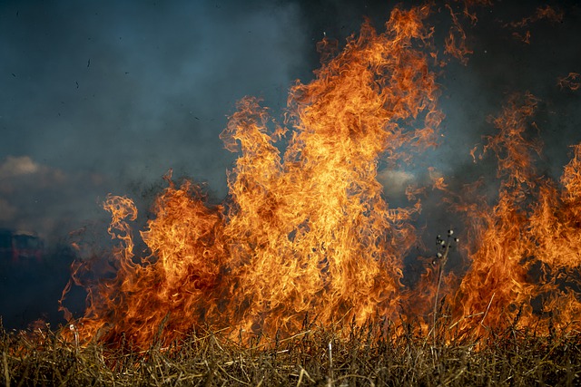 В Крыму на ближайшие дни и 9 мая объявлено предупреждение о пожарной опасности