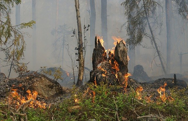 В Крыму до 17 мая сохранится чрезвычайная пожарная опасность