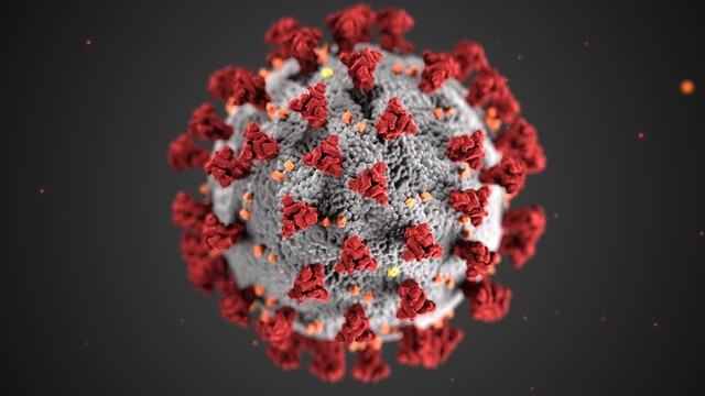 В России снижается коллективный иммунитет к коронавирусу