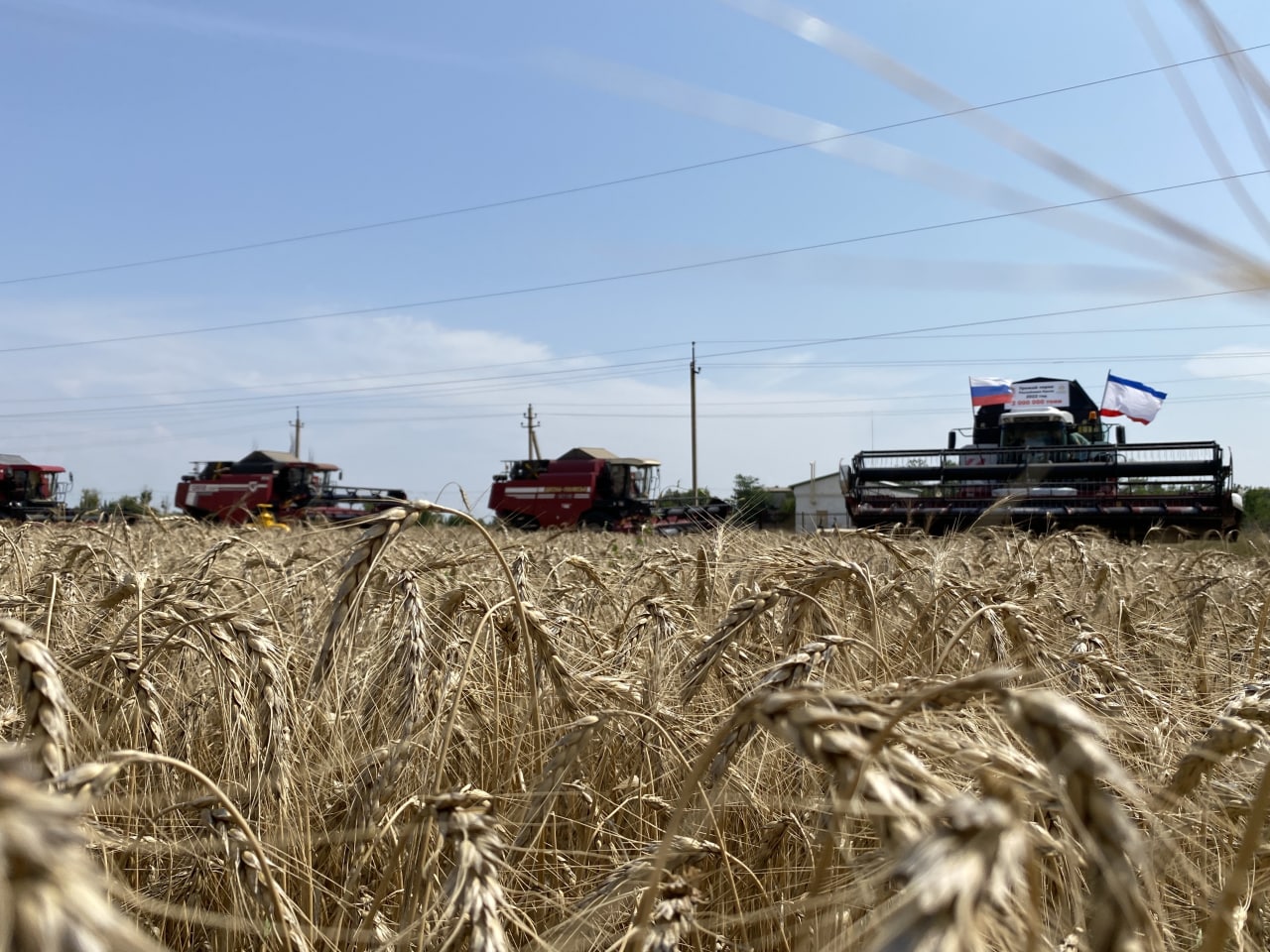 В Крыму собрали 2,1 миллиона тонн зерна