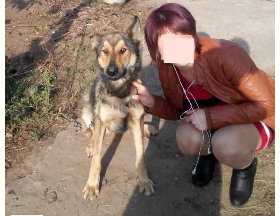 У жительницы крымского Щелкино, убившей своего ребенка, выявили психическое расстройство