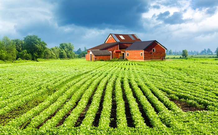 Строить дом на сельхозземле можно с любым видом разрешенного использования